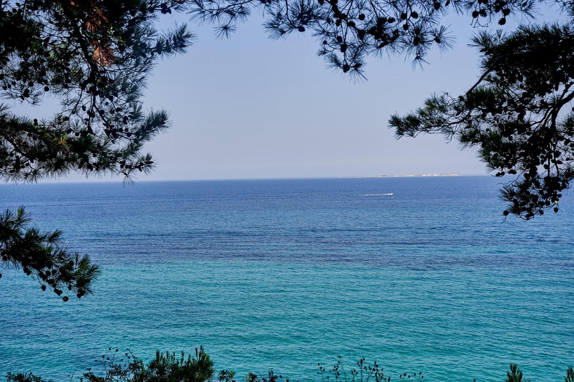 White Rocks Hotel Kefalonia Lassi  Exterior foto